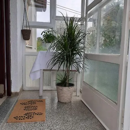 House Jan,pula *